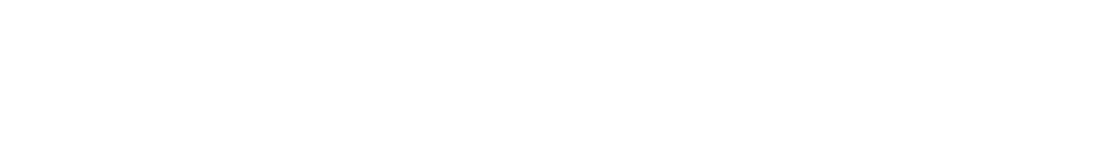 Datashelfie Logo-text